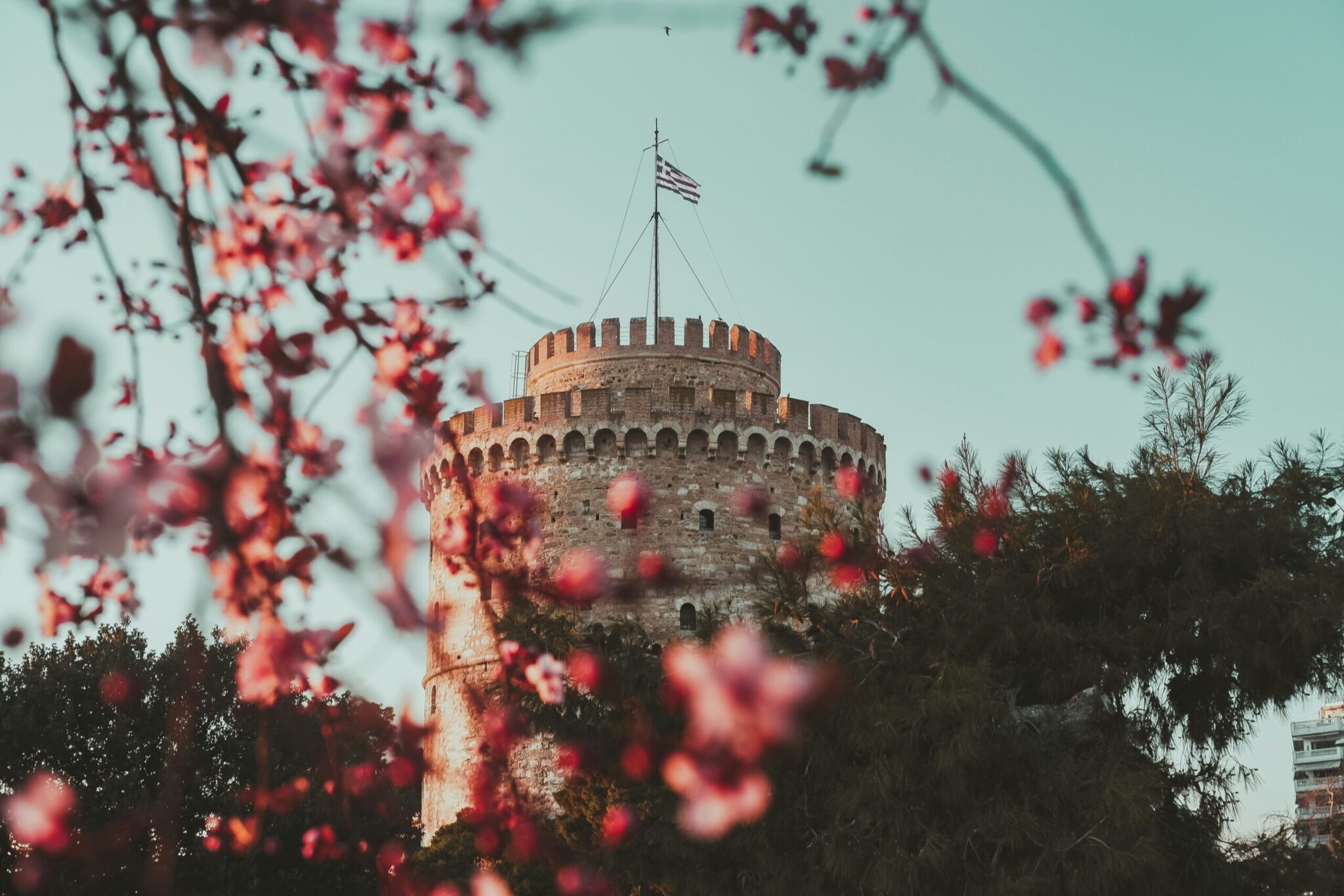 Binge Bytes Led NEWS: Meet the Winners of Binge Fringe’s Pick of Thessaloniki Fringe ...